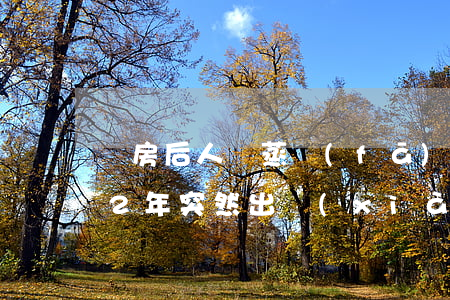 買房后“人間蒸發(fā)”，時(shí)隔12年突然出現(xiàn)并起訴賣方要求交付？法院怎么判？